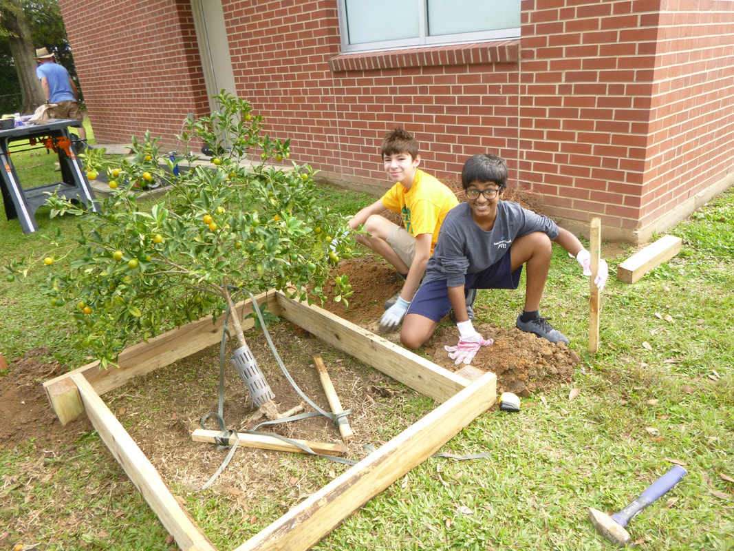 Two students kneeling on the ground, building protective boxes for the school's citrus trees. They are smiling at the camera. 