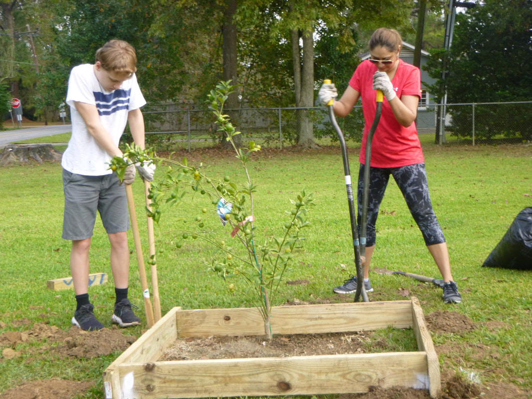 A student and a parent volunteer are using gardening equipment to dig holes in the ground.