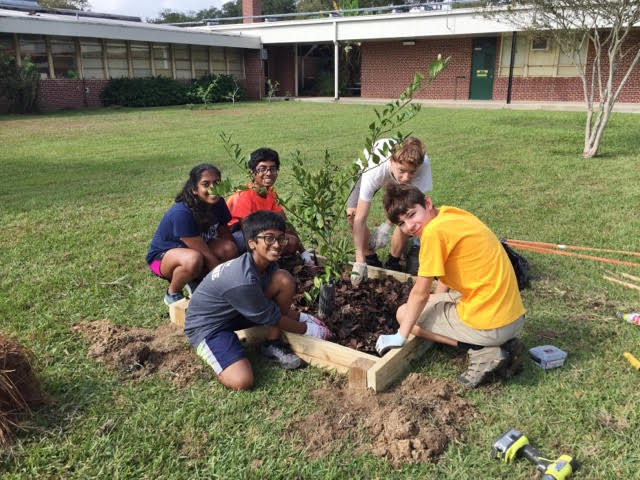 Five students kneeling on the ground, building protective boxes for the school's citrus trees.